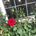 Thomas Scaria - Facebook