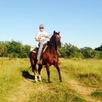 Thomas Schaar - @thomasschaar - Instagram