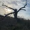Thomas Schaber591 - @thomasschaber591 - TikTok