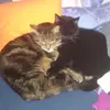 Thomas Schabert - @thomasschabert - TikTok