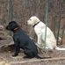 Thomas Schack - Facebook