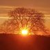 Thomas Schaffner - Facebook