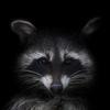 Thomas Scheper235 - @thomasscheper235 - TikTok