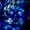 Thomas_0313_ - @thomas.schierboom - TikTok