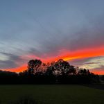 Thomas Schimpfhuber - @thomasschimpfi - Instagram
