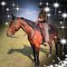 Thomas Schinkel - Facebook