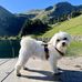 Thomas Schmidt - Facebook