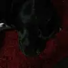 Thomas Schmidtke707 - @thomasschmidtke70 - TikTok