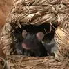 thomasschmidtke48 - @thomasschmidtke48 - TikTok