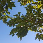 Thomas Schmieder - @opi170361 - Instagram