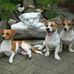 Thomas Schmieder - Facebook
