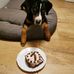 Thomas Schmieder - Facebook
