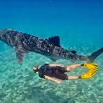Thomas Schmiederer - @thomasschmiederer - Instagram