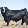 Tom Schnabel - @tomschnabel6 - TikTok
