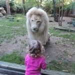 Thomas Schnapp - @thomas.schnapp - Instagram