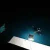 thomasschnapp310 - @thomasschnapp310 - TikTok