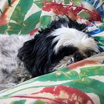 Terry Thomas - @terry_schoolcraft_thomas - Instagram