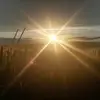 Thomas Schranz - @thomas.schranz - TikTok