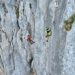 Thomas Schranz - @schranz85 - Instagram