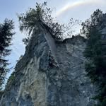 Thomas schröck - @schrock.thomas - Instagram