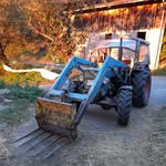 Thomas Schug - @capl_inger - Instagram