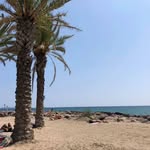 Thomas Schulze - @thomasschulze_ - Instagram