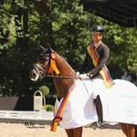 ThomasSchulze Dressage - @thomasschulzedressage - Instagram