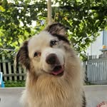 Thomas Schüßler - @tacore2004 - Instagram