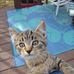 Thomas Schutt - Facebook