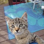 Thomas Schutt - @th.omas6136 - Instagram