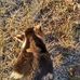 Thomas Schutt - Facebook