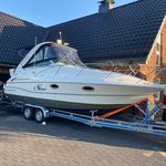 Thomas Schwarze - @schwarz_2_thomas - Instagram