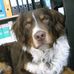 Thomas Schweizer - Facebook