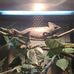 Thomas C Seagrave Jr. - Facebook