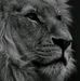 Tom Seagrave - Facebook