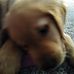 Thomas Seese - Facebook