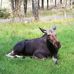 Thomas Selke - Facebook