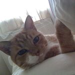 Thomas Selling - @sellingthomas - Instagram