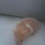 Thomas Serna - @thomas.serna.165 - Instagram