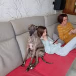 Thomas SERVAIS - @servaisthomas - Instagram