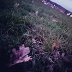 Thomas Servais - @servais7677 - Instagram