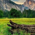 Thomas Sessa - @tomridge26 - Instagram