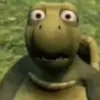 Thomas Sheehy - @tbshebfqqzp - TikTok
