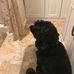 Thomas Shenk - Facebook