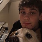Clyde - @thomas.shepherd__ - Instagram