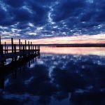 Thomas Shepherd - @shep.cams - Instagram
