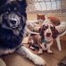 Tom Shetler - Facebook