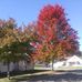 Thomas Shick - Facebook