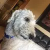 thomasshipley - @thomasshipley5 - TikTok