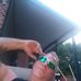 Thomas Showers - Facebook